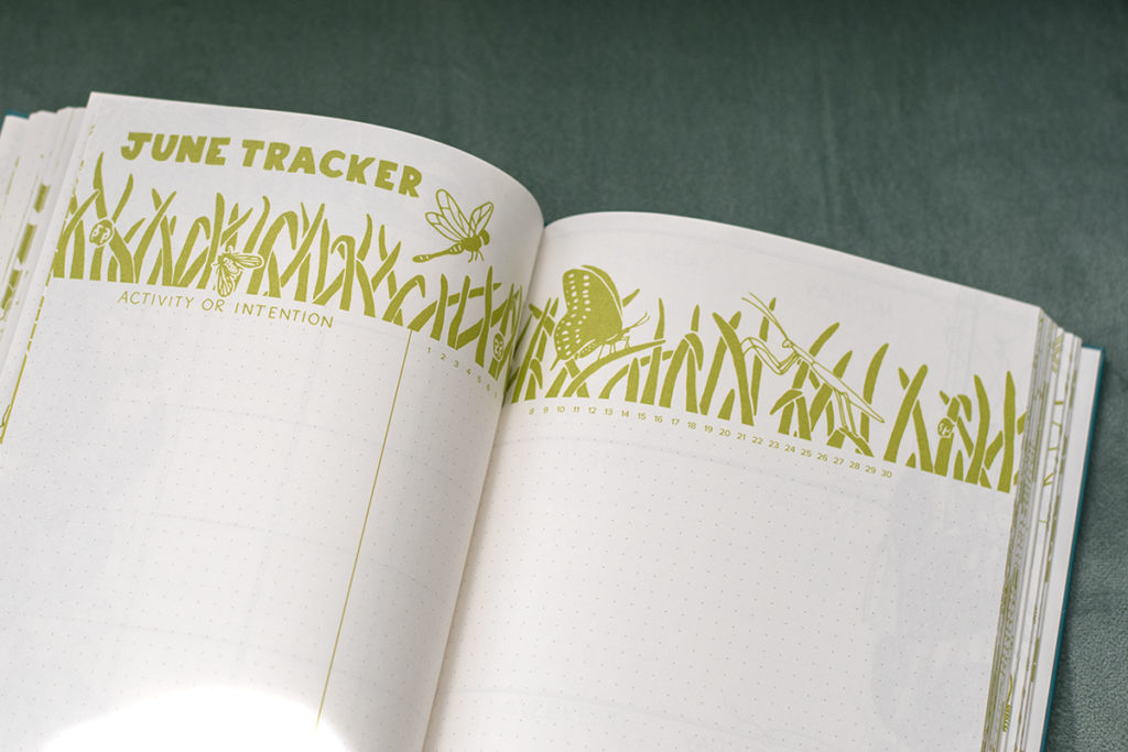 A gardening journal showing an activity page for the month of June.