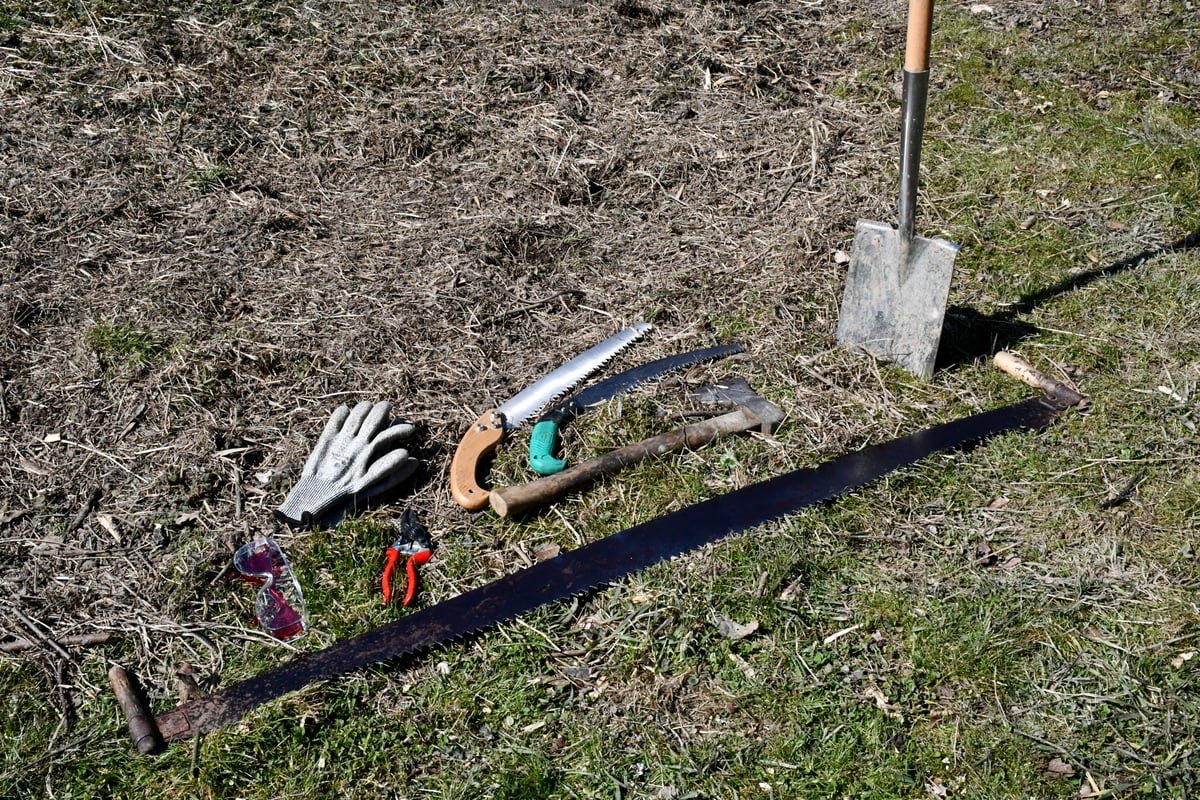 How To Completely Remove a Tree Stump By Hand