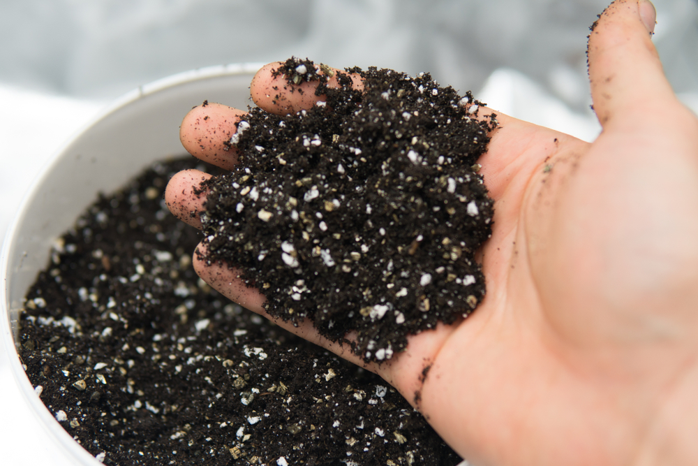 Hand holding potting soil from a bucket