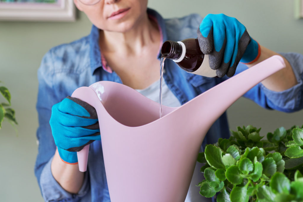 A woman wearing gardening gloves mixes hydrogen peroxide into a watering can.