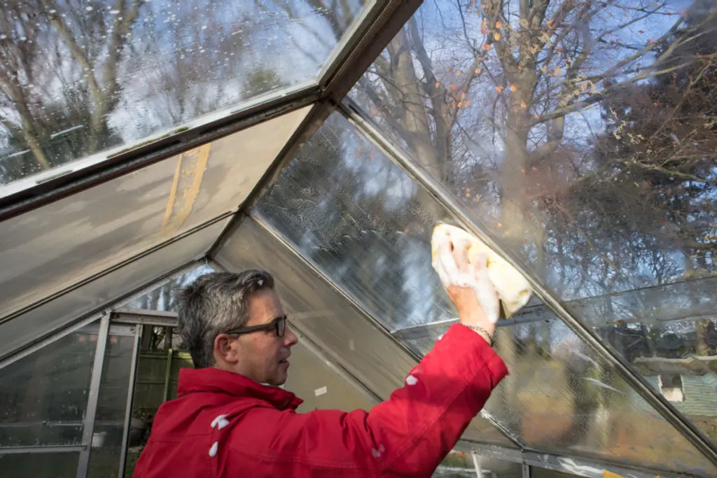 A man is cleaning greenhouse windows.