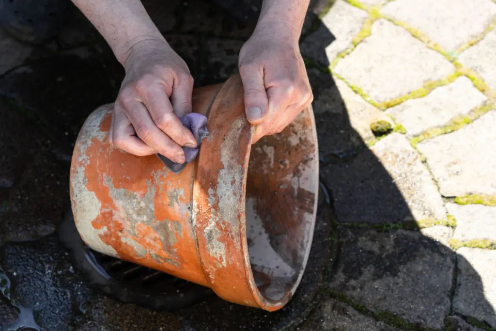 Hands shown scrubbing a terracotta pot.