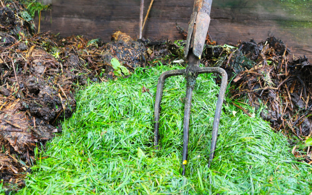 A pile of bright green grass clippings with a pitchfork in the middle of them.