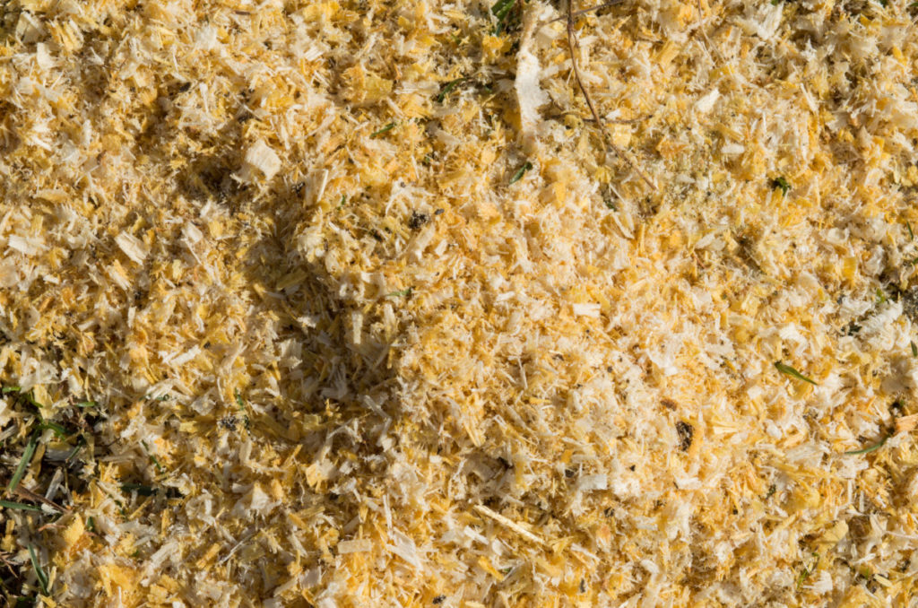 Close up of a pile of sawdust.