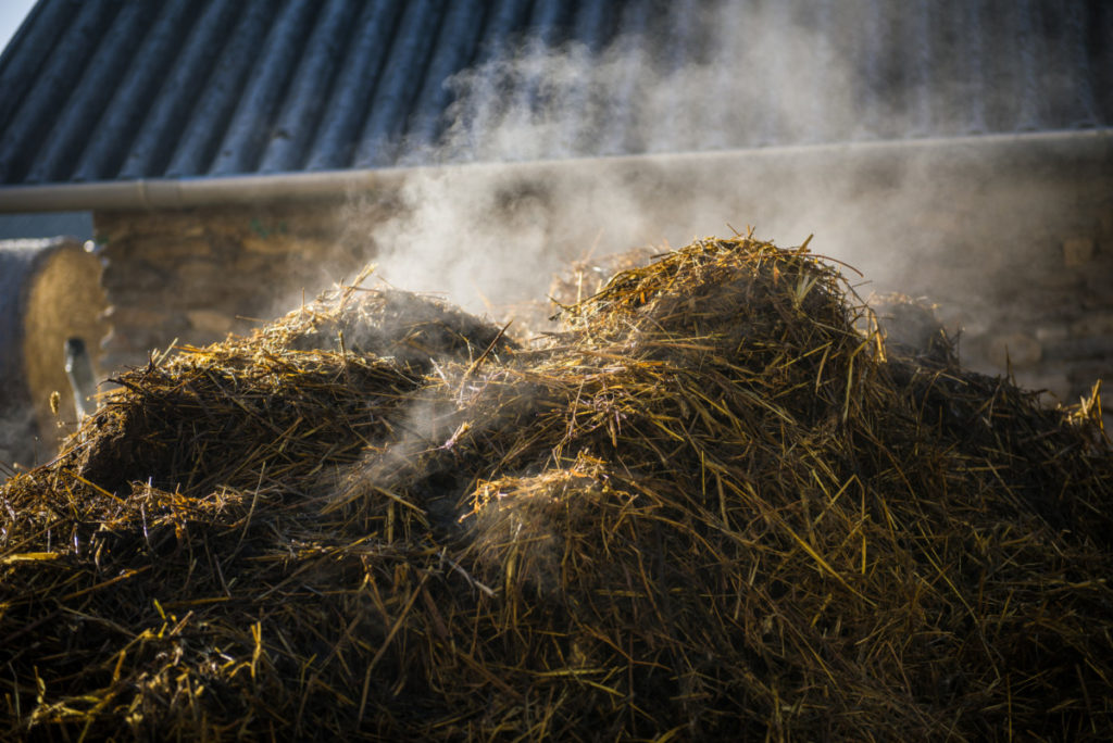 Water vapor rises from a pile of compost.