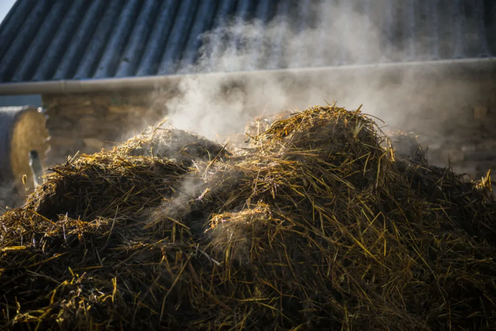 Water vapor rises from a pile of compost.