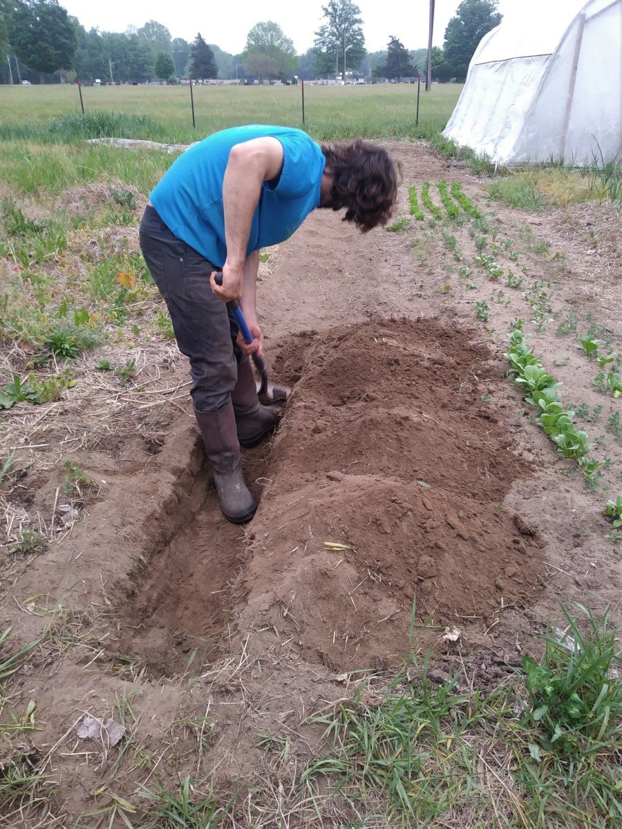 How To Plant an Asparagus Bed Plant Once & Harvest For 30+ Years