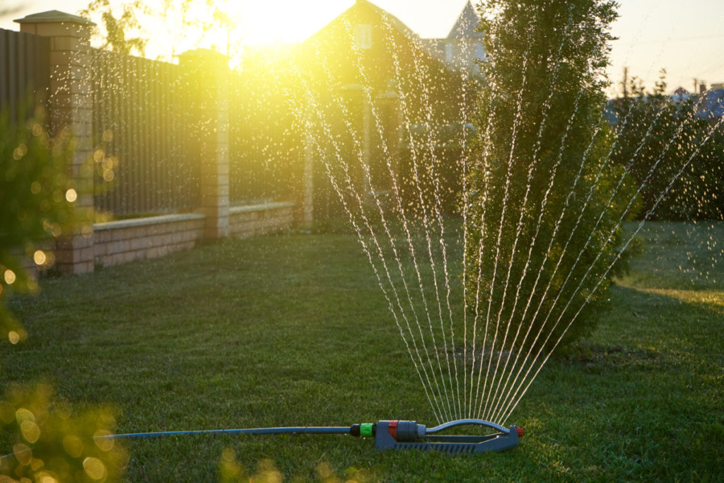 A sprinkler sends jets of water into the air at sunset.