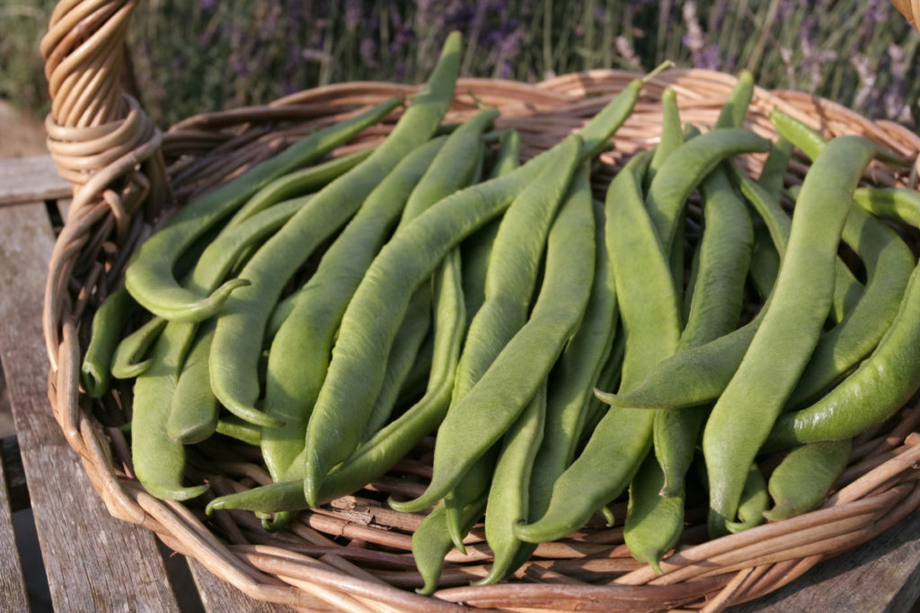 A basket of broad beans.