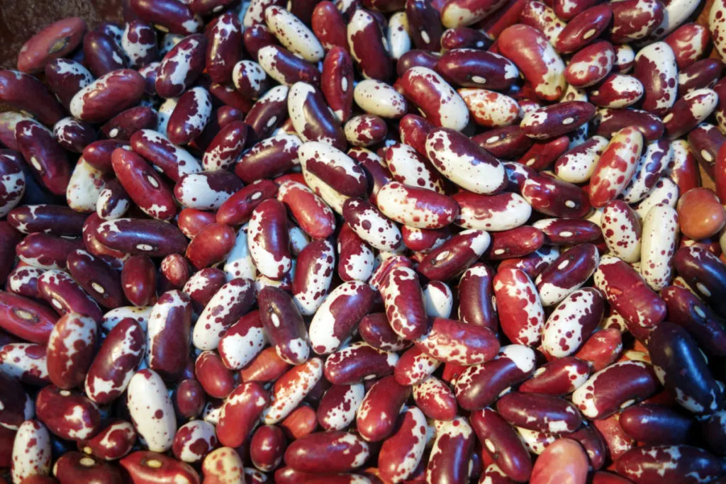 Speckled dried beans, red and white.