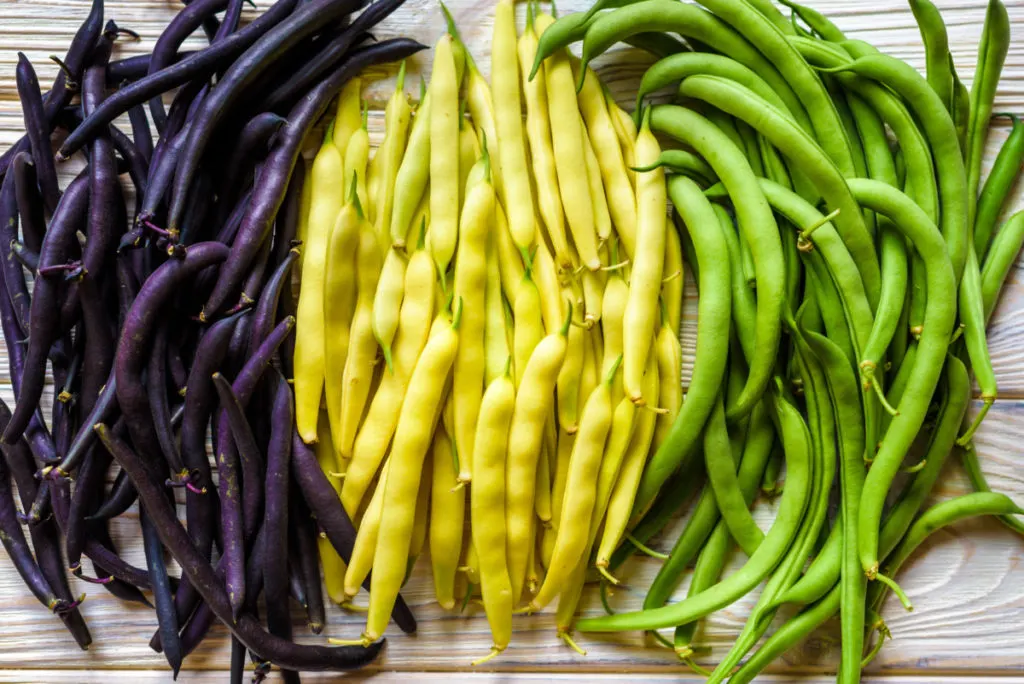 Burgundy, yellow and green beans piled next to each other.