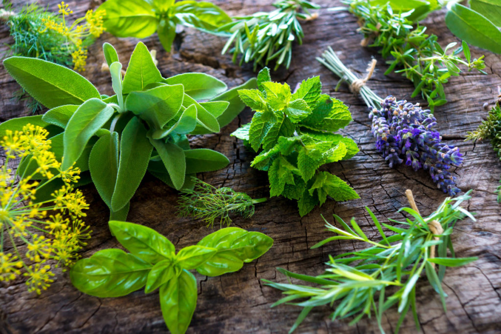Assorted herb cuttings decoratively arranged on a rustic piece of wood.