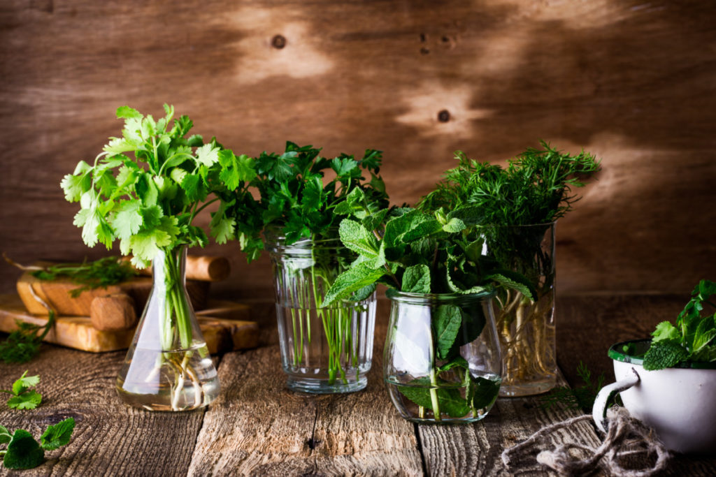 Herb cuttings arranged in jars of water on a rustic wood tabletop. 
