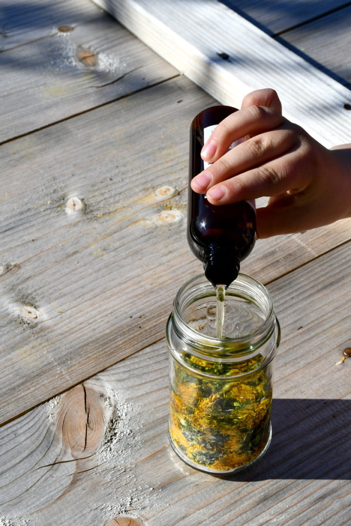 hand pouring oil over dandelion flowers in a jar