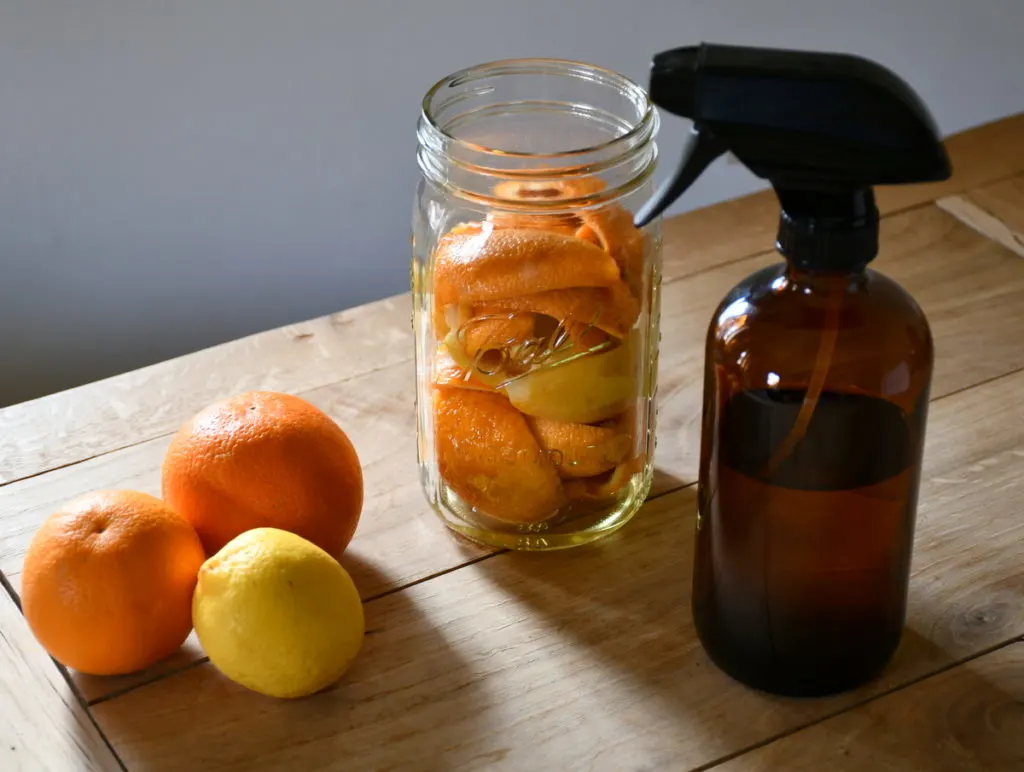 The amber glass bottle has been fitted with a spray nozzle. Behind it is the jar of citrus peels. There are several citrus fruits on the table next to the bottle.