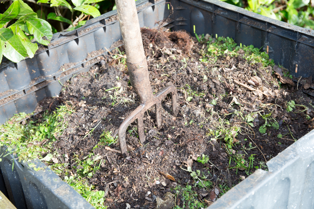What is cutting compost? - Carbon Gold