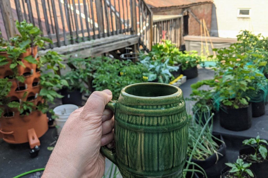 My hand is holding a green coffee mug shaped like a barrel. Beyond my mug is my rooftop garden. There are grow bags with tomatoes, cauliflower, peppers, onions in them. There is a Garden Tower 2 with vegetable plants growing from it.