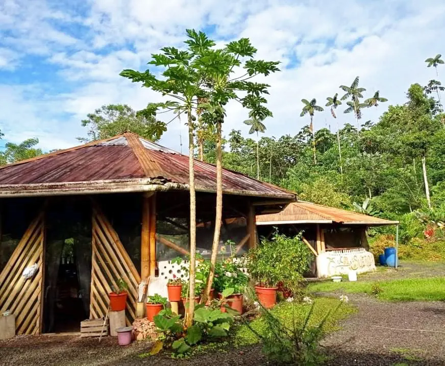 Krash's home and another outbuilding nestled among the forest of tropical trees. The sky is blue and the trees and foliage are green. The buildings appear to be made of large bamboo logs with tin roofs. 