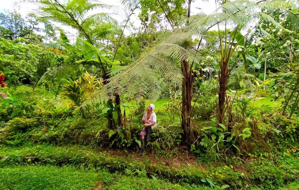 Kristen Krash sitting beneath large tropical trees on her neotropical agroforest in Ecuador.