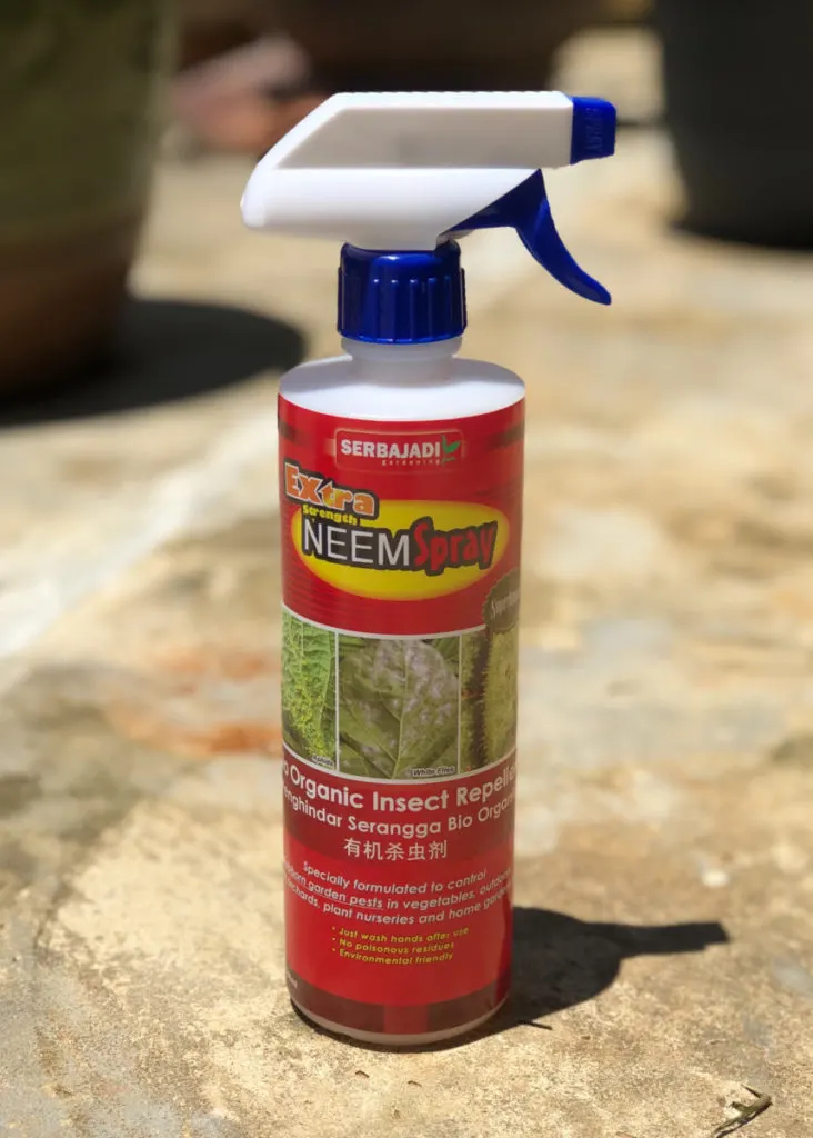 Close up of a spray bottle of neem oil. 