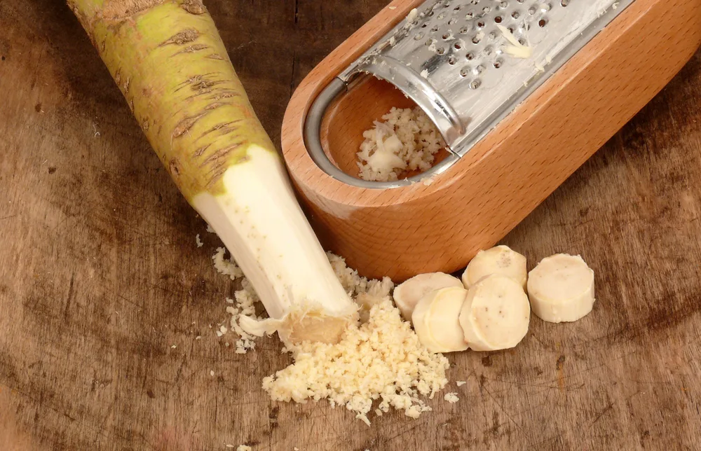 A small handheld grater used to grate horseradish is pictured next to a horseradish root. The root has had several pieces sliced from it and the tip is shredded from the grater. 