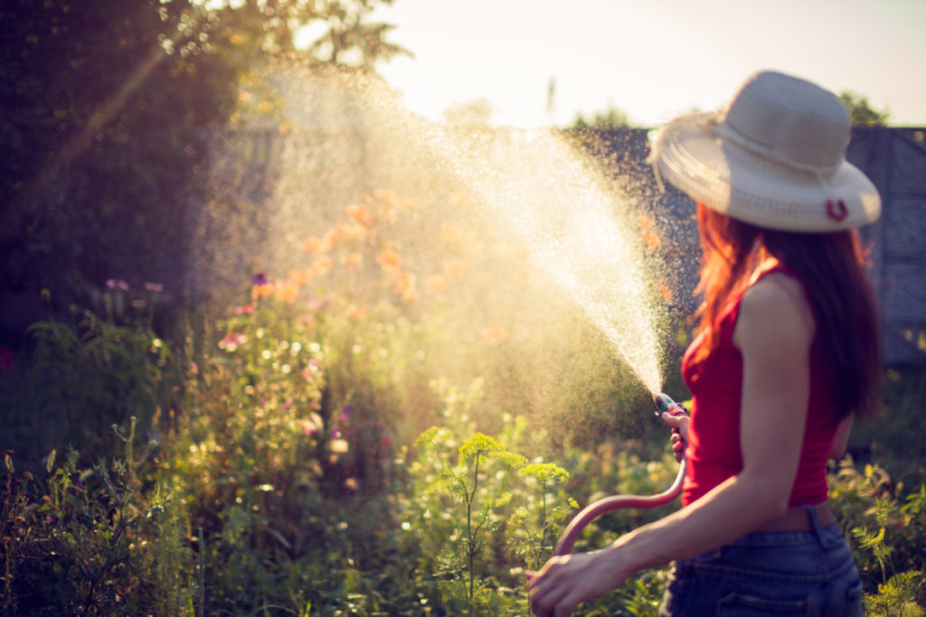 A woman spraying a garden with a hose in the sunlight.