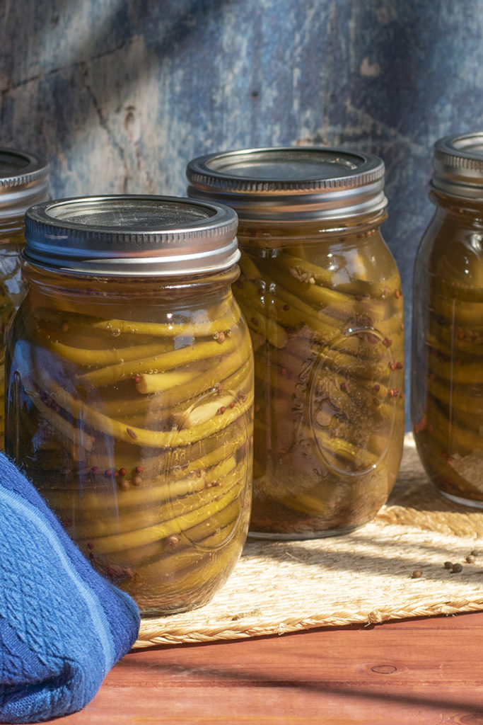 Four pint mason jars filled with olive green pickled garlic scapes and pickling spices floating in brine. They are sitting on a rattan trivet on a wooden table top. On the right side of the jars is a royal blue handtowel. The background is a rough, blue piece of wood.