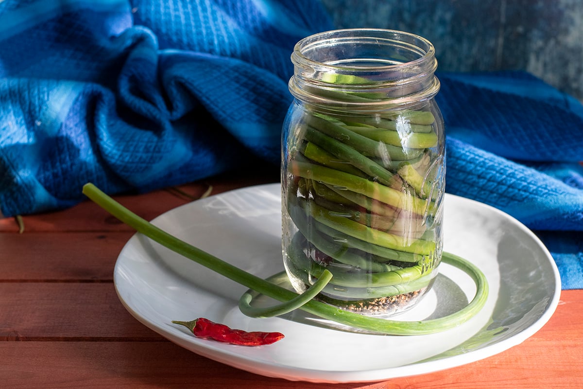 Pickled Garlic Scapes One of the Easiest Pickles to Make