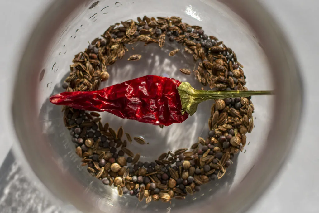 Close up of the inside of a pint mason jar with pickling spices inside it. There is a large, red, crinkly dried chili on top of the spices.