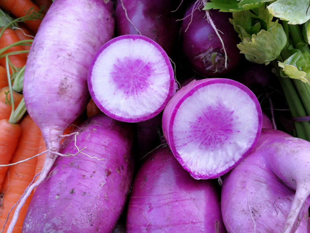 Several radishes are stacked on one another. The radishes are a pale lavender color. One radish has been sliced open to reveal and white and purple core.