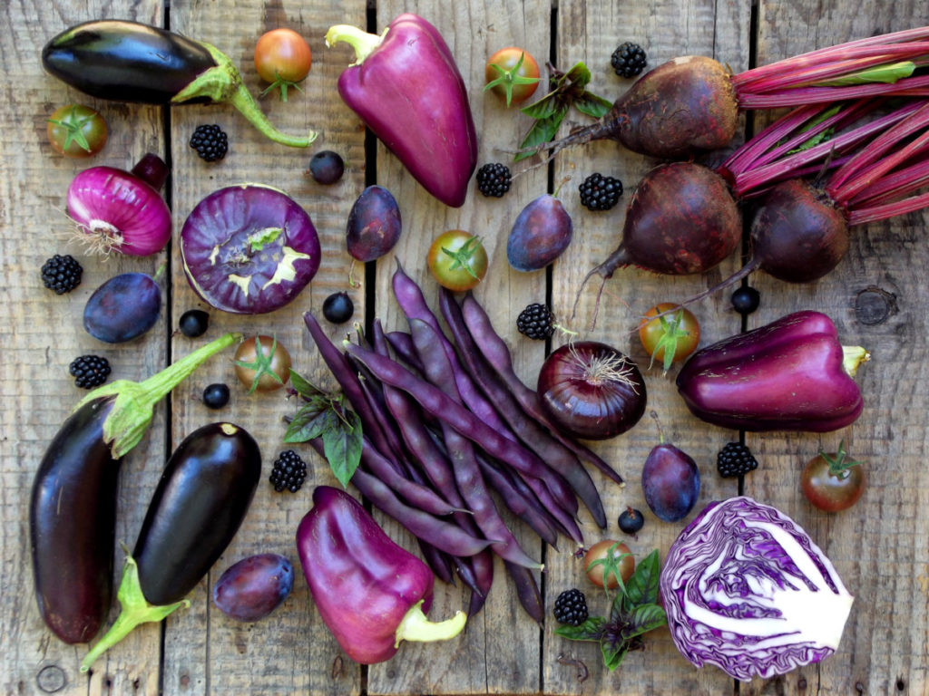 A rough wooden table is spread with purple vegetables - eggplant, pepper, onions, cabbage, tomatoes, beets and peppers. 