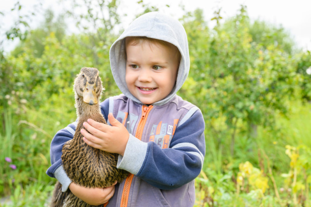 a small boy holds a brown duck under his arm. The boy is smiling.