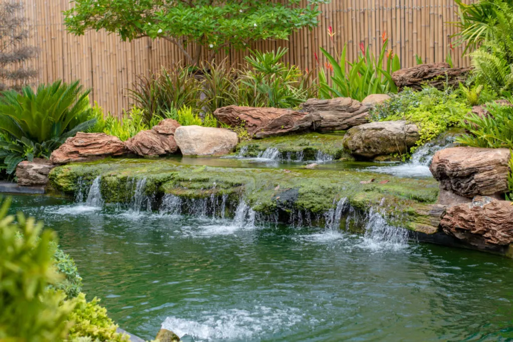 A water garden with moss covered waterfalls. There is a bamboo fence in the background and tropical flowers.