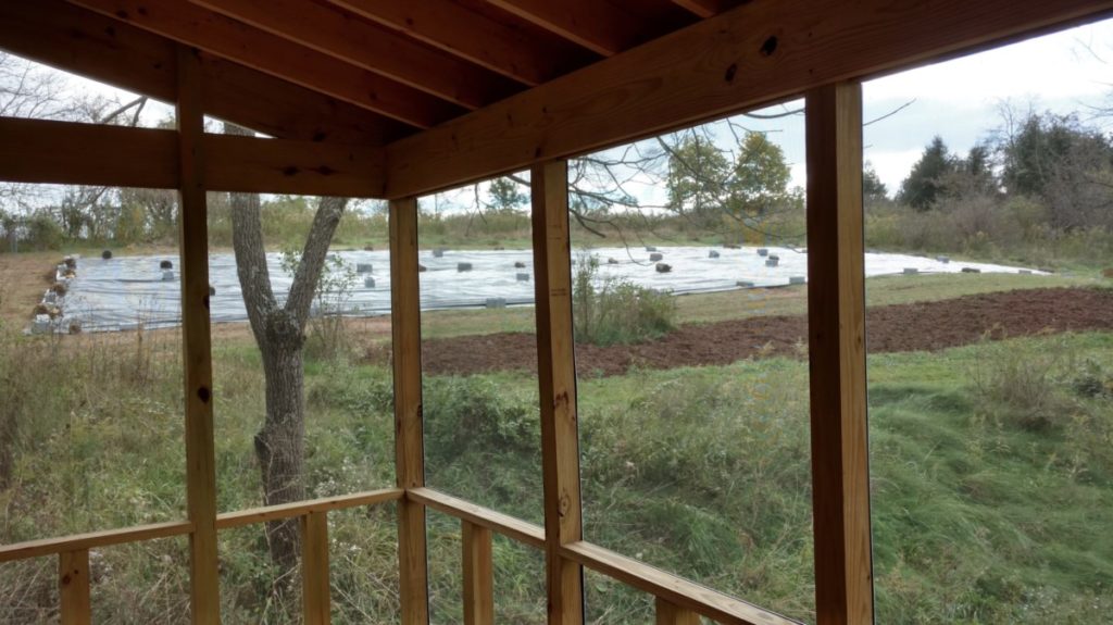 View from the screened in porch of the future orchard. A large black sheet of plastic is held in place with cinderblocks and logs