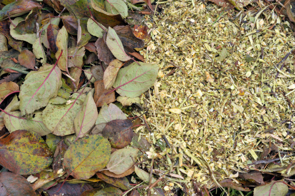 Brown leaf littler and dried mulch in a pile. 
