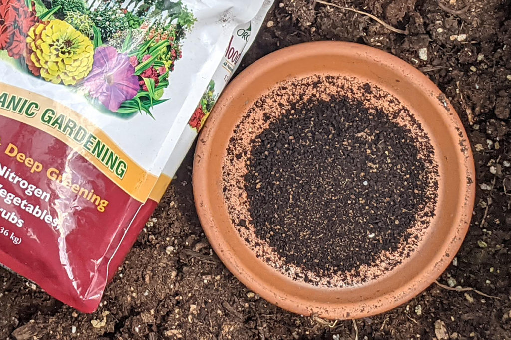 Bag of blood meal fertilizer next to a terracotta saucer with blood meal granules in it. 