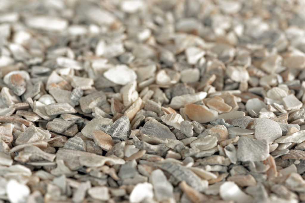 Close up of ground oyster shells.