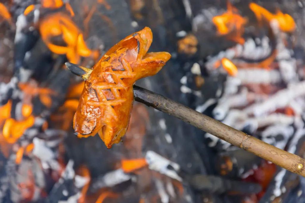Close up of a sausage skewered on a stick being roasted over an open fire.