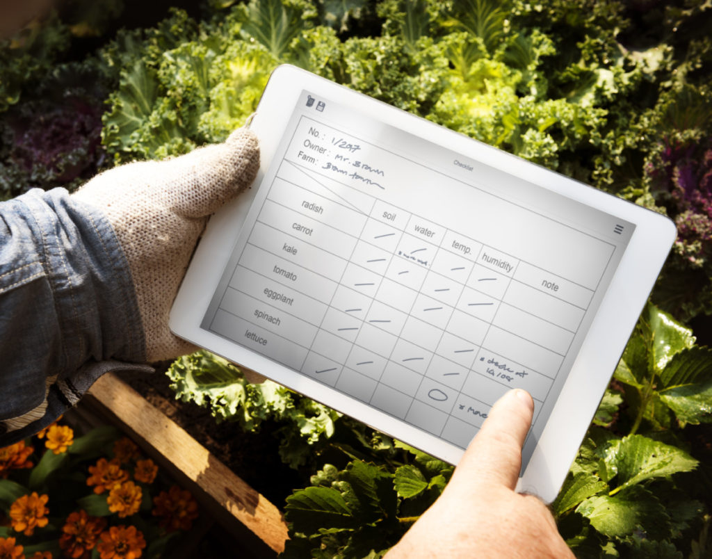 A man holds a tablet with garden plans