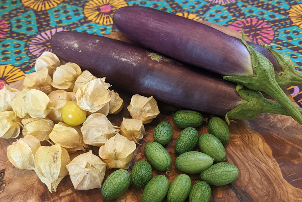 Asian eggplants, cucamelons, and ground cherries arranged on a wooden cutting board sitting on top of a brightly colored tablecloth.