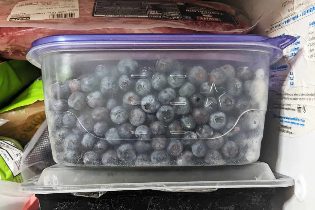 Close up of a food storage tub filled with frozen blueberries in the freezer.