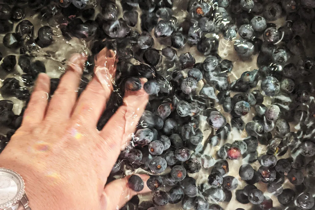 My hand in a sinkful of water and blueberries. 