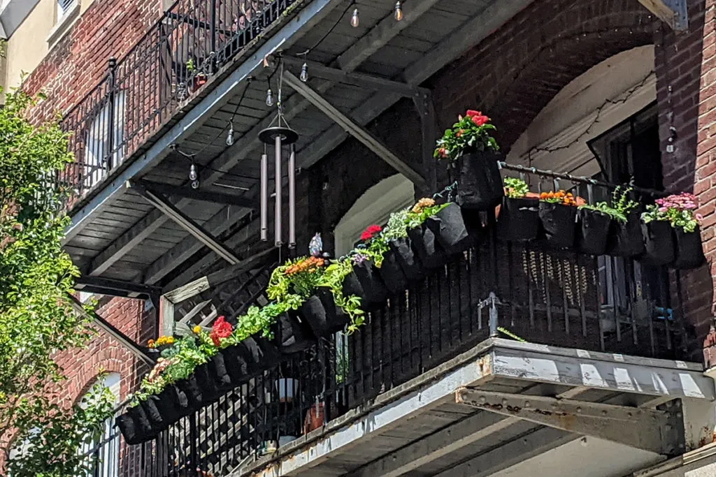 Street view looking up at a balcony lined with black cloth grow bags overflowing with flowers and green foliage. 