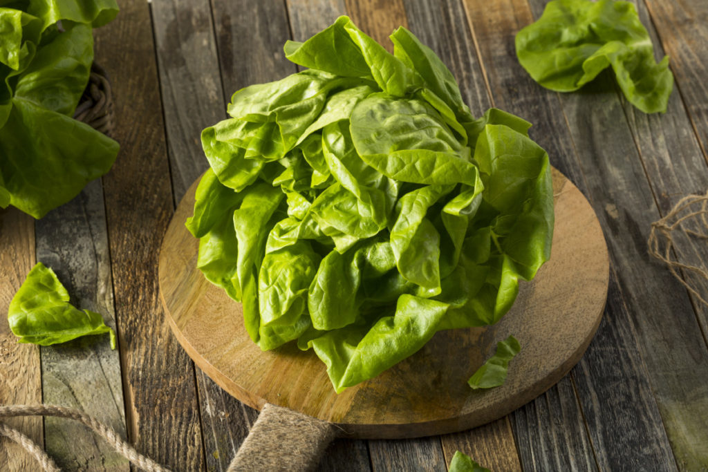 A head of buttercrunch lettuce sitting on a small, round cutting board on a rough-hewn wood table top. There are leaves of lettuce on the table.