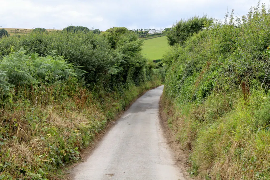 A small road with hedgerows on either side.