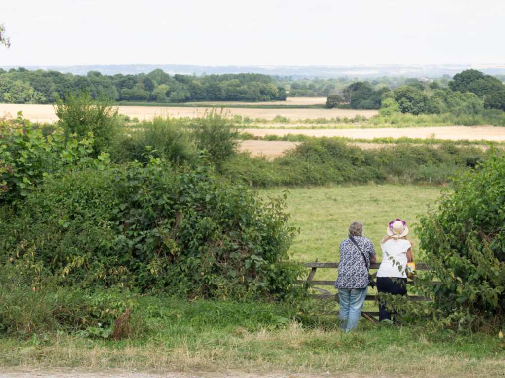 Two people leaning on a fence and looking into a large field.