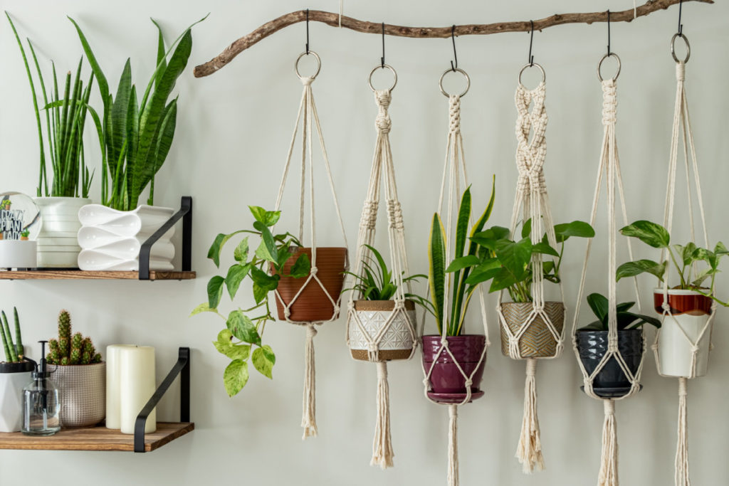 Macrame planters hanging from a suspended branch. 