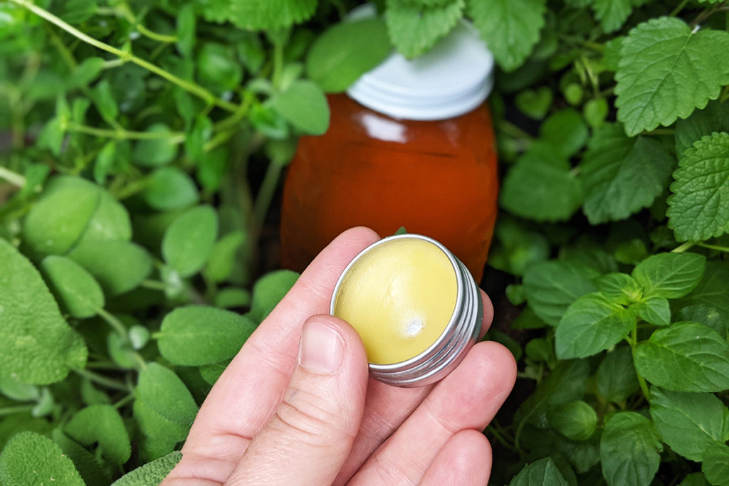 A hand showing a small silver in of yellow lip balm in front of bright green herbs. Nestled in the herbs is a jar of honey.