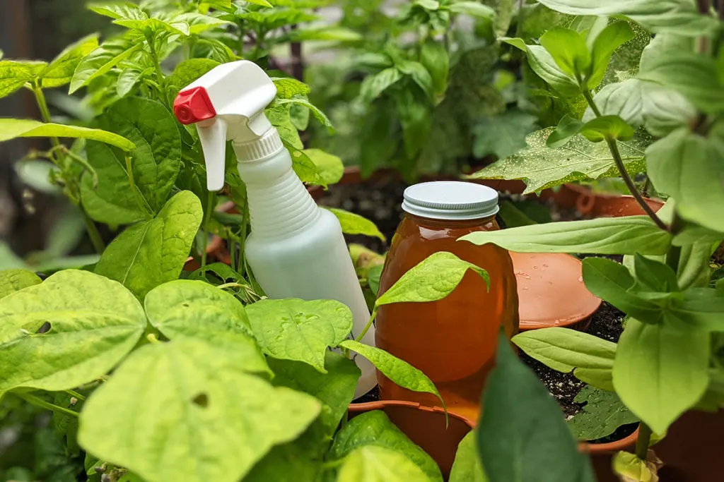 A spray bottle and a jar of honey sitting on the top of a Garden Tower among the plants. 