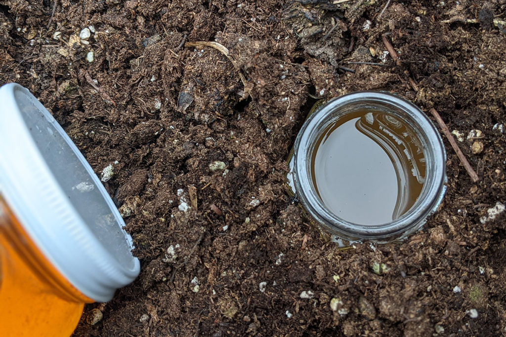 A small jar full of honey water has been pushed down in the dirt up to the lip. Laying in the dirt next to it is a sealed jar of honey.